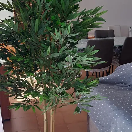 Appartement Luminosissimo *